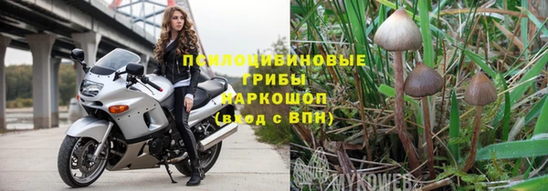 марки lsd Бородино