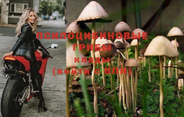 синтетический гашиш Бронницы