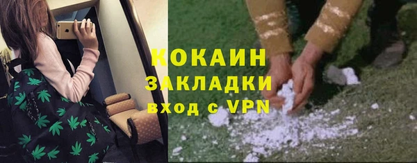 марки lsd Бородино