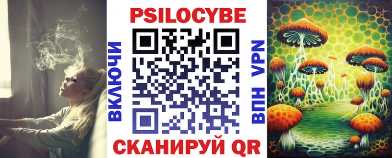 Псилоцибиновые грибы Psilocybine cubensis  Малая Вишера 